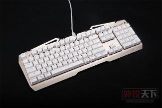 ׷籩Ϯ TEAM WOLFս+е