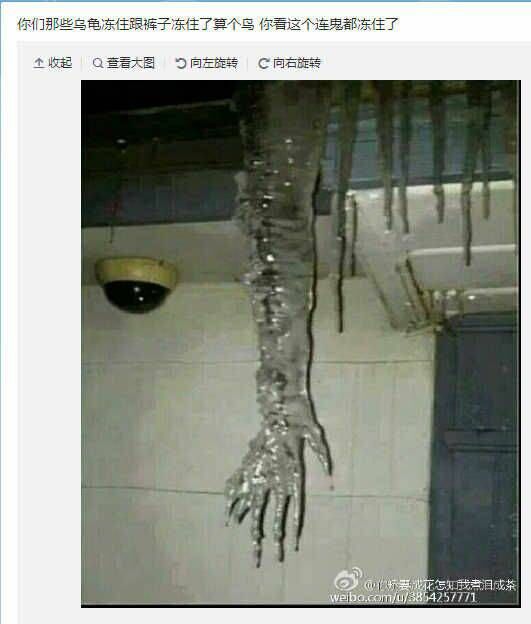 【單擺出品】(1月27日)致微信朋友圈
