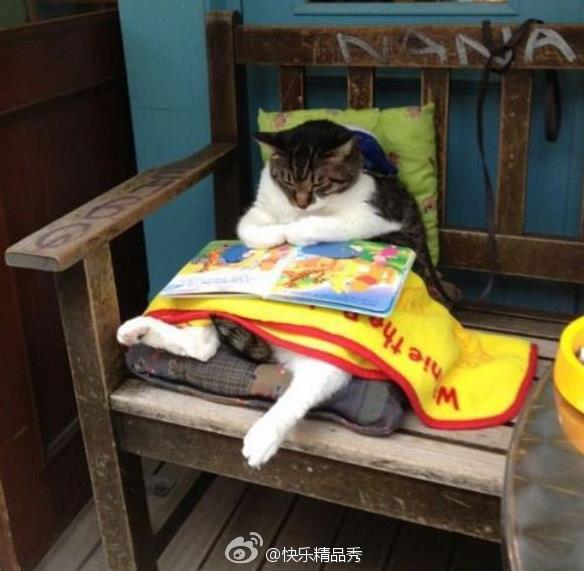【單擺出品】(1月30日)老司机,带带我!!!