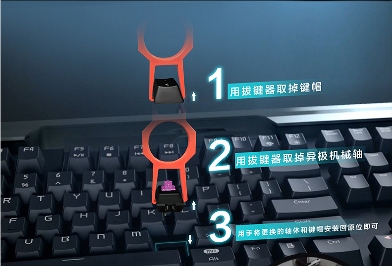 켫MR.Lee ְҵ羺