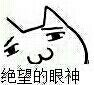 DCSylar粨