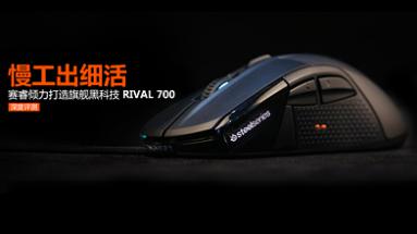 ϸ 콢ڿƼRival 700