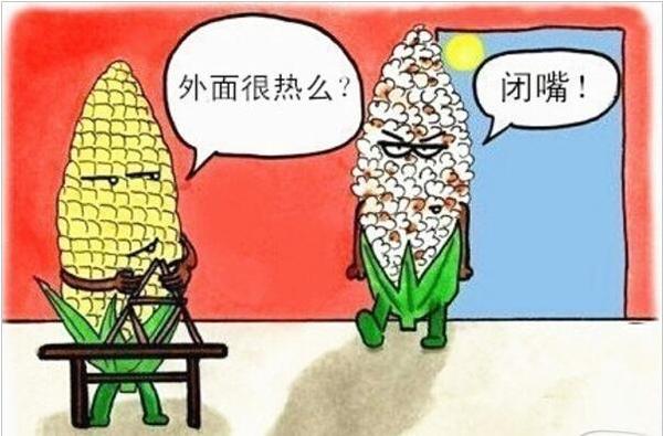 ϢһݴȡŻ        