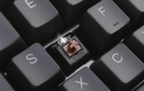 ļҹƷǱΪδĹ֮أ