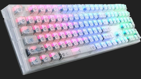 ƳMasterKeys Pro L RGBˮ