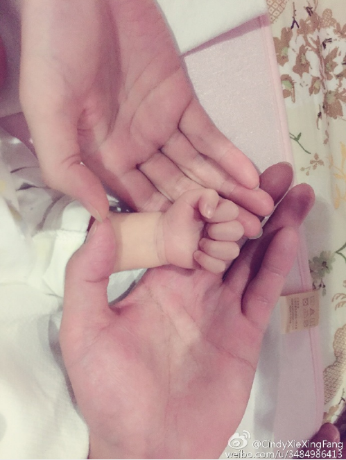 林丹婚内出轨?谢杏芳该如何冷静应对?