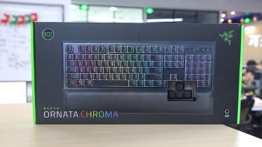 ƷOrnataϷʵ׷