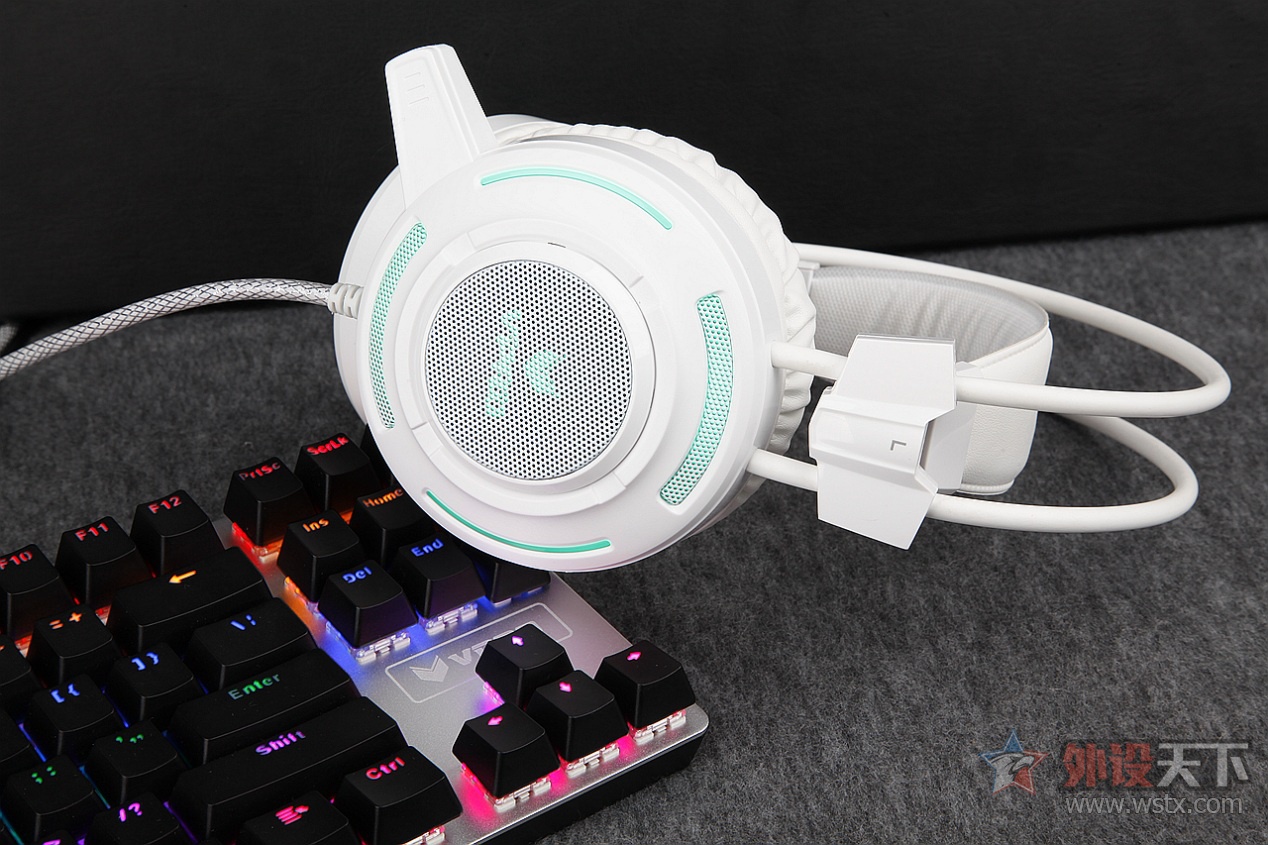中鼠V25 +V500S合金版键盘 雷柏V系列图赏