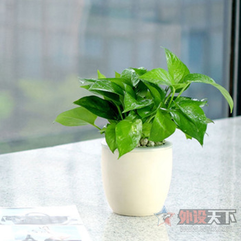 拒绝单调,达尔优DAY DAY UP系列缤纷来袭!