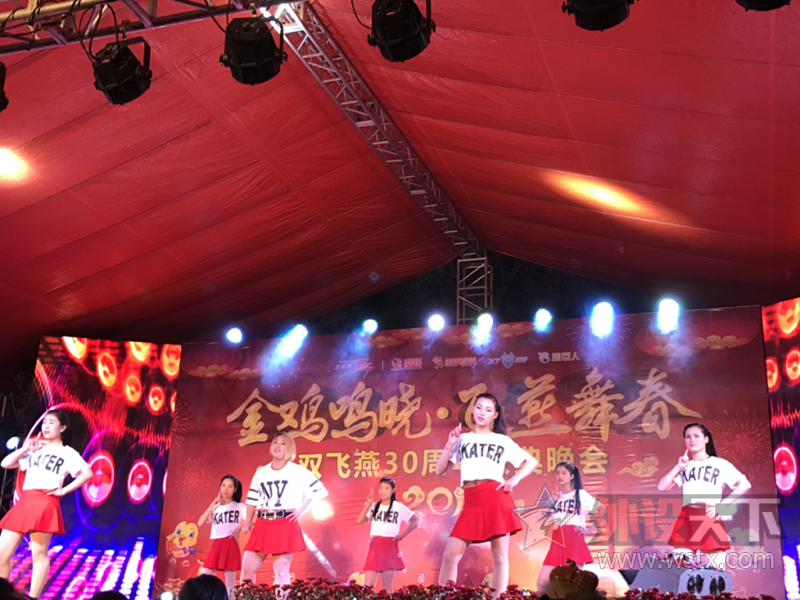 双飞燕30年迎新庆典 看企业发展的灵魂!