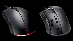 ˶ҹȷROG Strix EvolveϷ