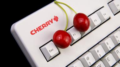 ȫCHERRY 3494+װ