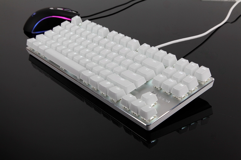雷柏V500S冰晶版+V29S经典黑白配 雅致清新