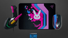 RAZERƳȷٷȨDVA          