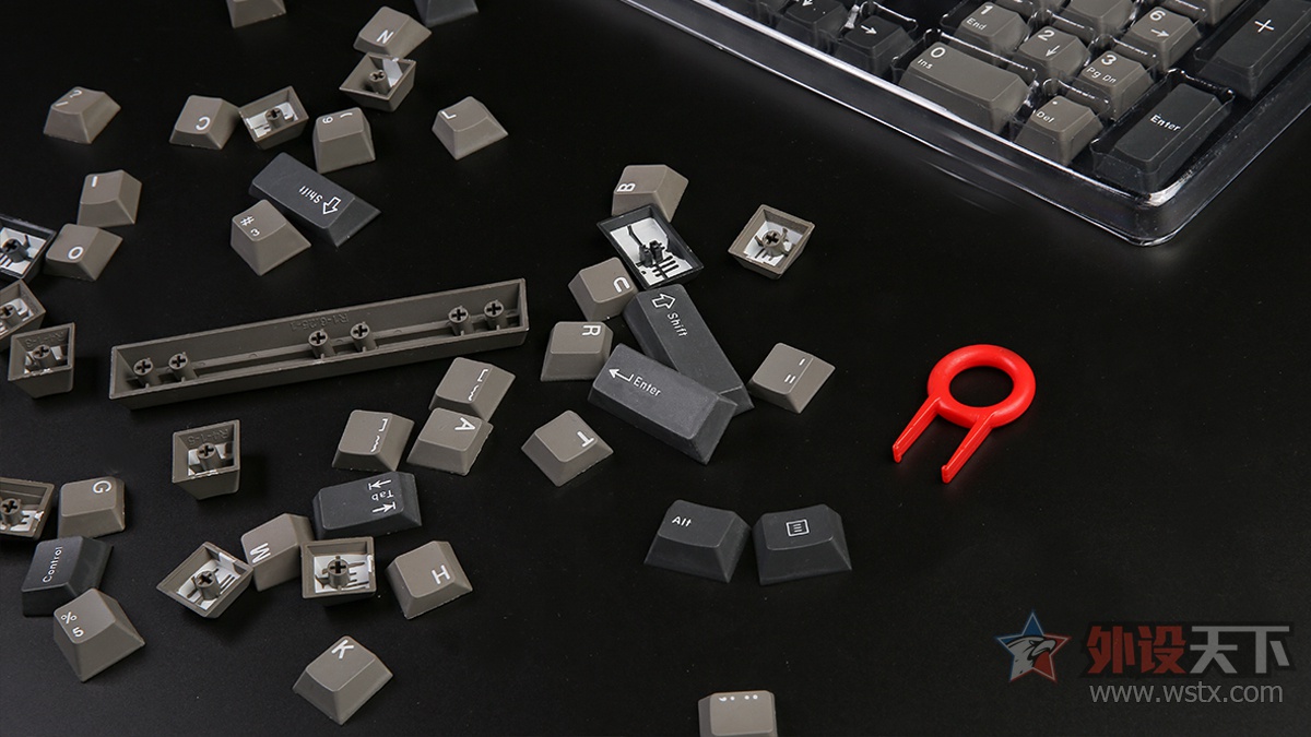 PBT˫ɫעܼñ⣺ɫ   