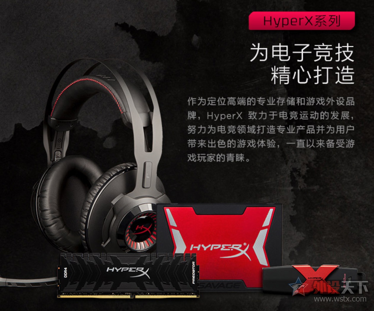 ԼHyperXPUBGPCPI S2     