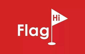 flag ˵˵СĿ               