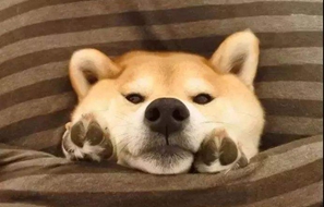 #˯# ÿ˯ʱǶ٣       
