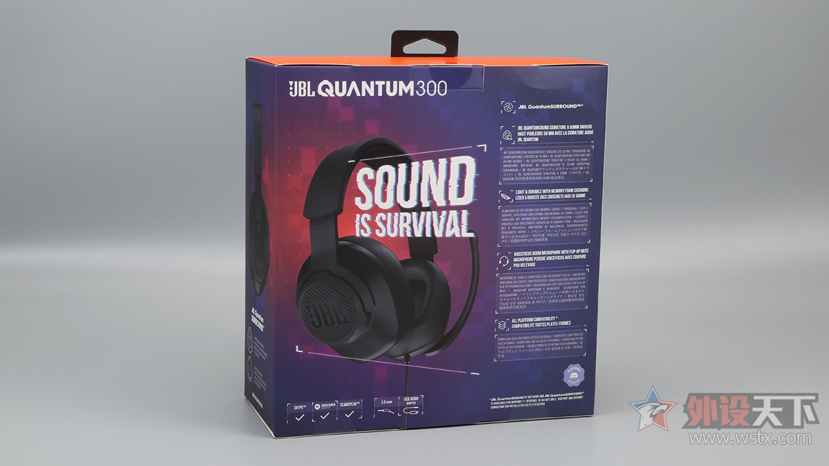 JBL QUANTUM 300 Ϸ              