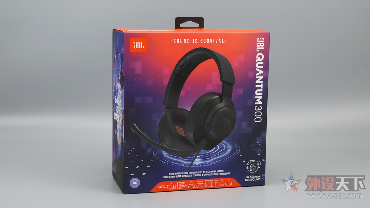 JBL QUANTUM 300 Ϸ              