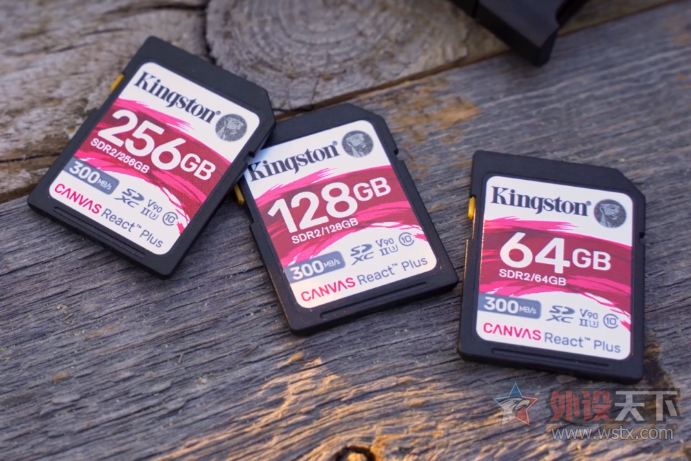300MB/봫ٶ ʿCanvas Plusϵд洢