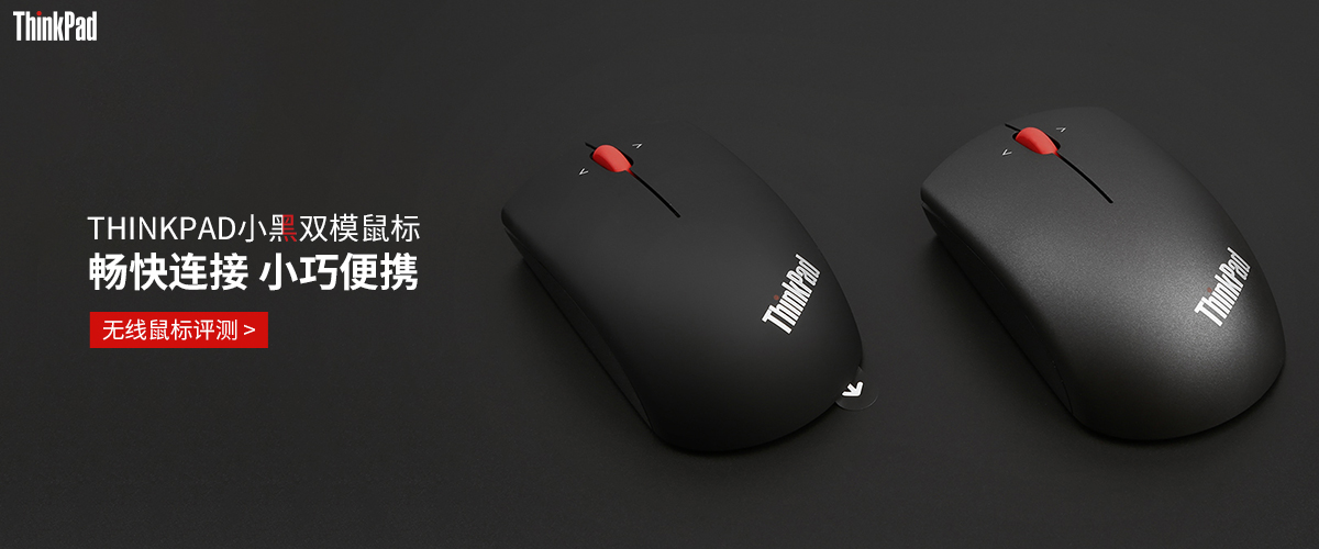 ThinkPadС˫ģ⣺        