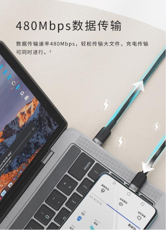 װPD100 PD⣨Type Cܿ