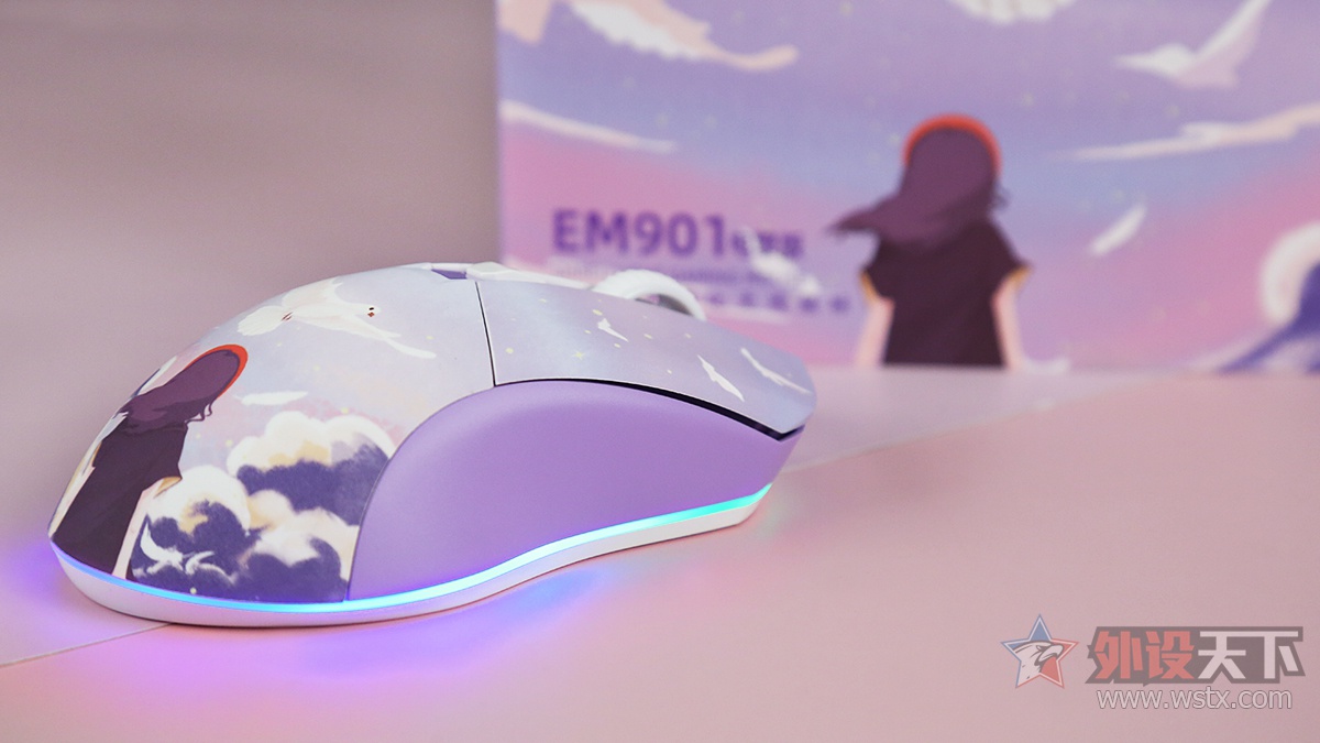 EM901˫ģϷ-  