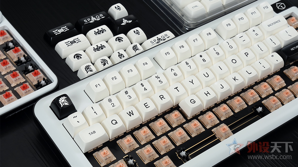 ȤKR081 75%ȫ׼+QQPAD׼     