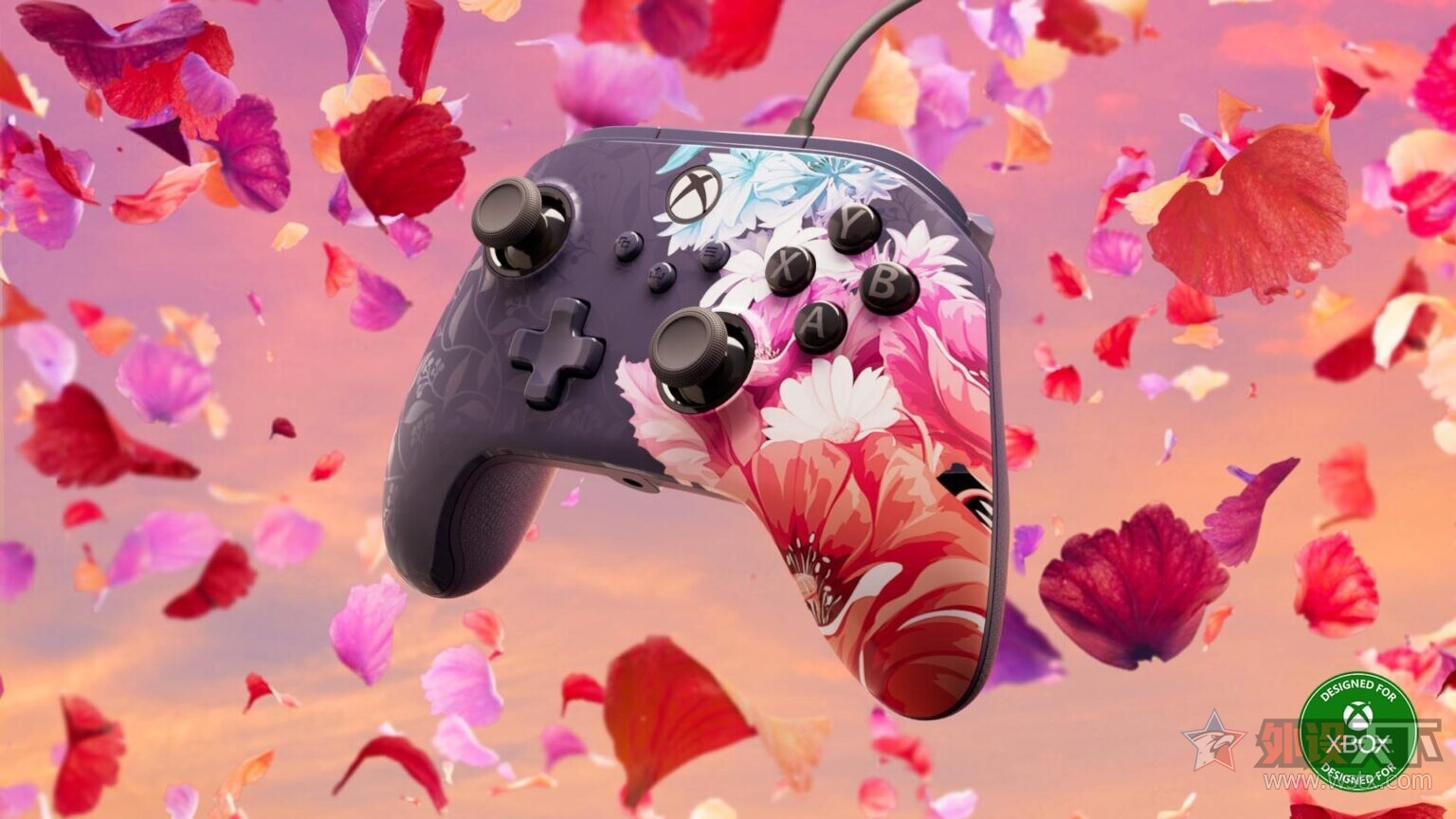 ΢XboxƷ&̣Ƴϵ 