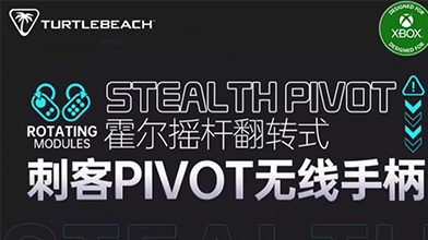 ڹ꺣Ƴ̿PIVOTϷֱ         