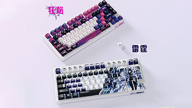 RKƳR75 Pro                     
