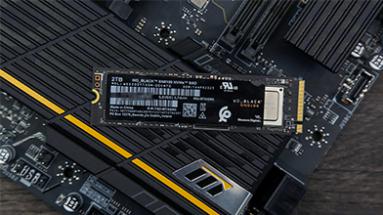 ����WD_BLACK SN8100 NVMe SSD����          