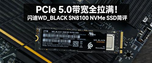 ����WD_BLACK SN8100 NVMe SSD����