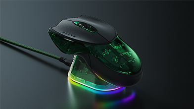 ���߲�˹�ʺ���20����������꿪ʼԤ��    