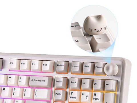 ���������Ƴ�B98PRO��ģ��е����            