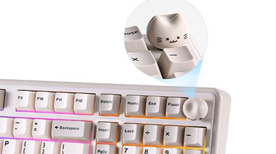 ���������Ƴ�B98PRO��ģ��е����            