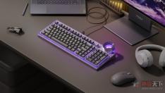 ����ŭ������Yogaϵ�м��̷���             