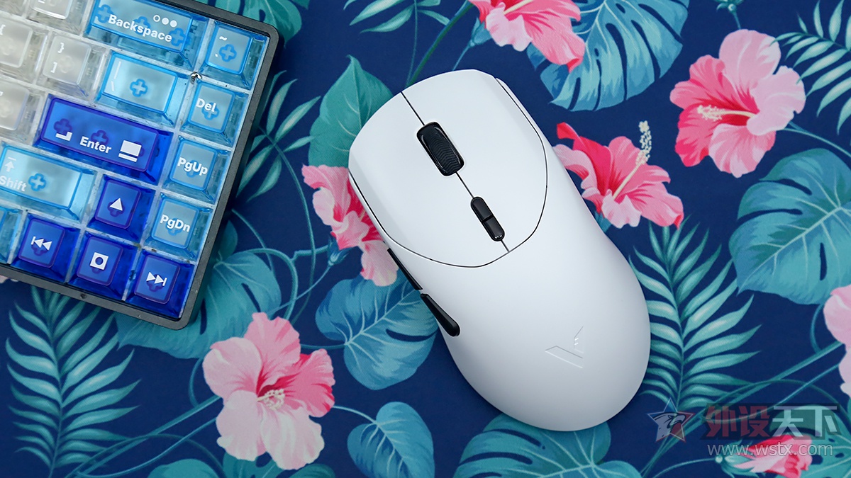 ��̥���� �ڿ�ץ������ �װ�VT9���������� 