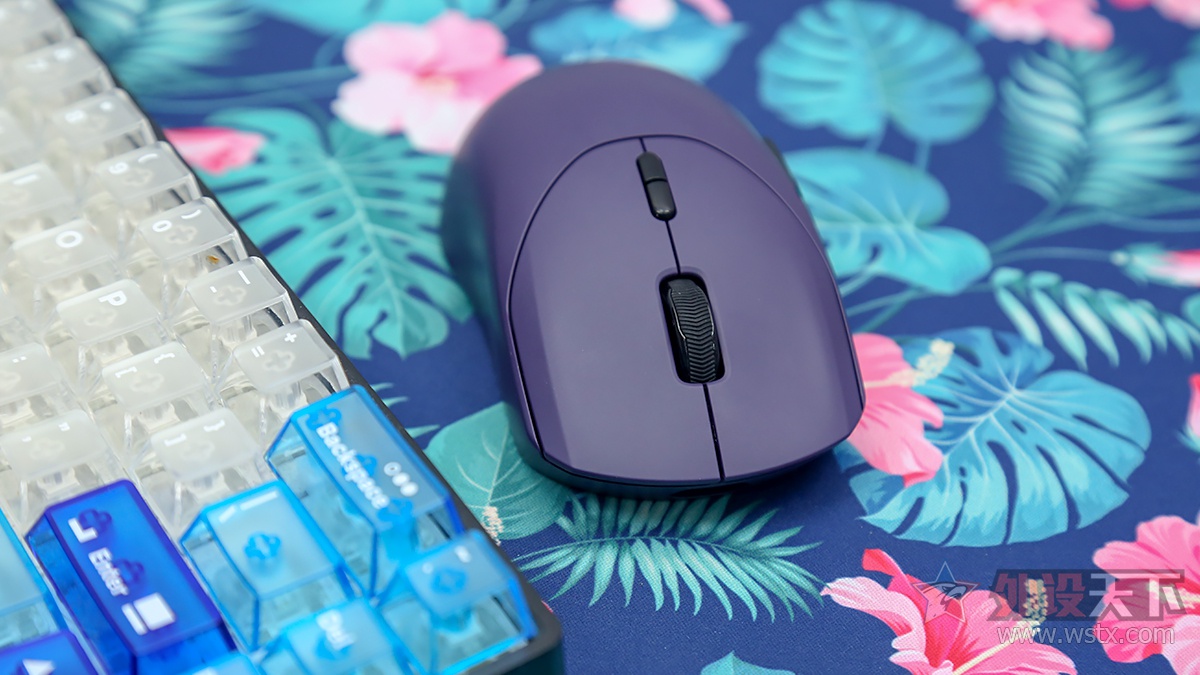 ��̥���� �ڿ�ץ������ �װ�VT9���������� 