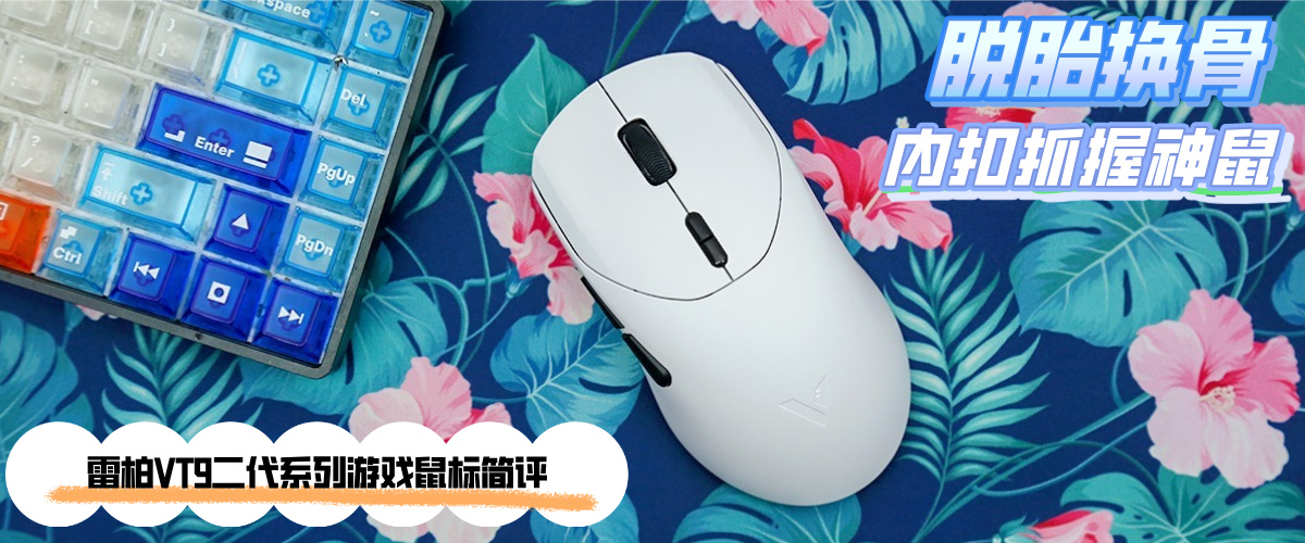 ��̥���� �ڿ�ץ������ �װ�VT9����������