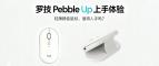 �޼�Pebble Up��������